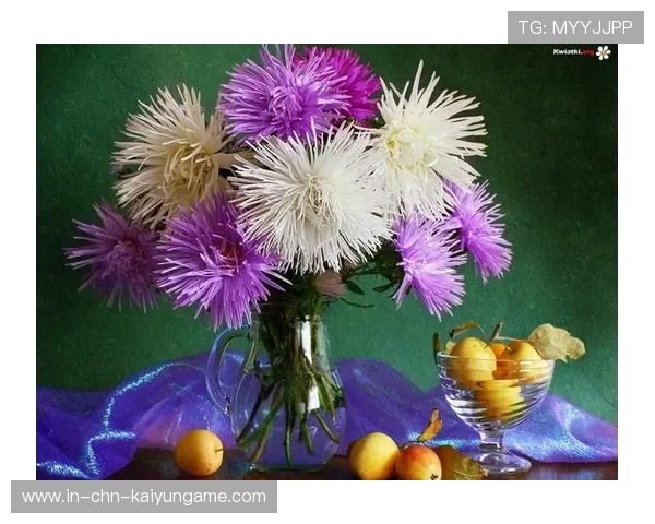 ¦ó+Í+--¦Î+¦©Âó¢¶+¦+¦+À¦++Â¦­ð-ðÃÊ²-ý+ÀÍÌÎÒ¦¦ð-Àþ+ð